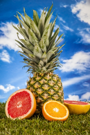 Fitness composition with vivid colorsの写真素材