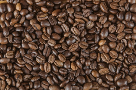 Italian coffee conceptの写真素材