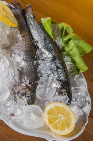 Raw fish on the plate and light backgroundの写真素材