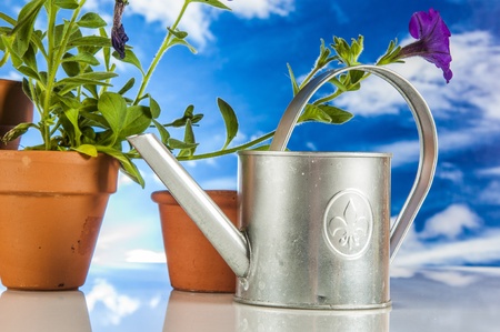 Gardening stuff with vivid rural compositionの写真素材