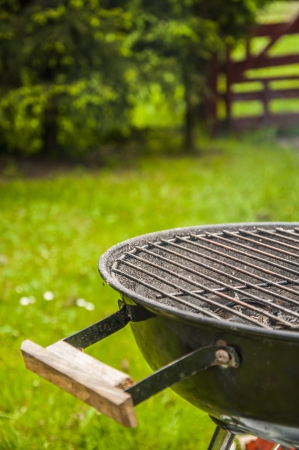 Saturated, decorative grilling theme with green backgroundの写真素材
