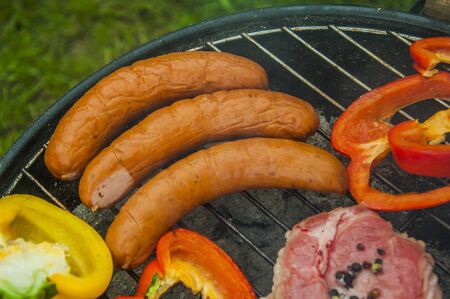 Grilling composition in green gardenの写真素材