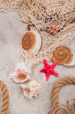 Saturated composition of beach, holidays conceptの写真素材