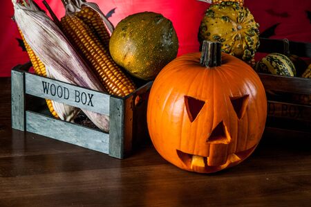 Halloween theme of pumpkinsの写真素材