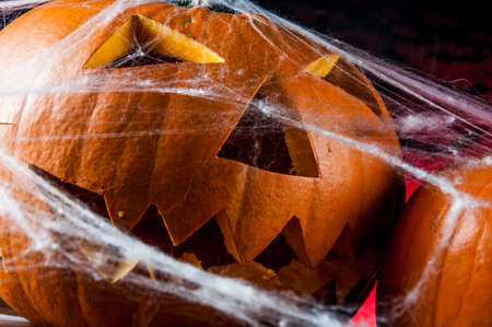 Colorful autumn theme with halloween scary pumpkinsの写真素材