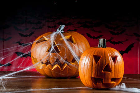 Halloween pumpkins, ambient lightの写真素材