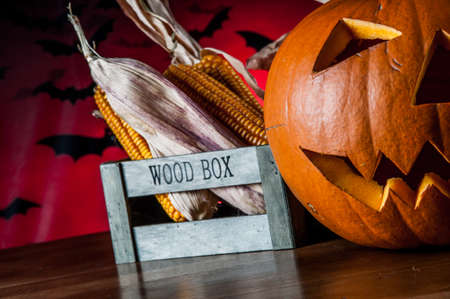 Halloween pumpkin in atmospheric lightの写真素材