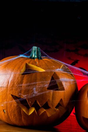 Halloween pumpkin in atmospheric lightの写真素材