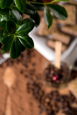 Ambient theme of coffee, organic foodの写真素材