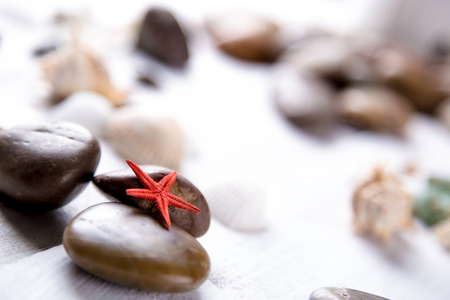 Plenty of stones and shells on the beachの写真素材