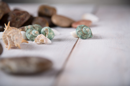 Fresh and pure seaside conceptの写真素材