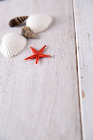 Sea and beach, natural colorful conceptの写真素材