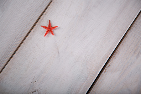 Starfish and shells on the beachの写真素材