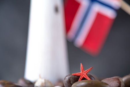 Starfish and shells on the beachの写真素材