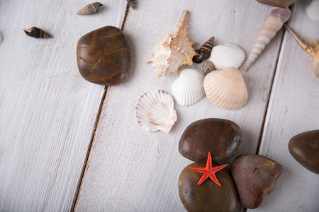 Fresh and pure seaside concept