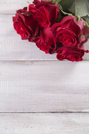 Beautiful roses, valentines concept, bright backgroundの写真素材