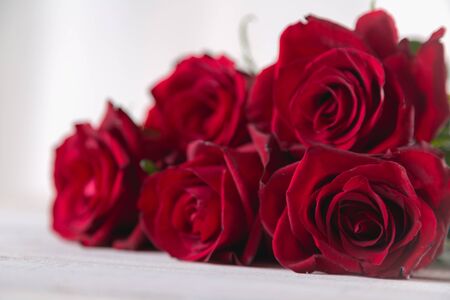 Beautiful roses, valentines concept, bright backgroundの写真素材