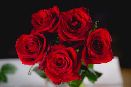 Beautiful valentines roses on dark backgroundの写真素材
