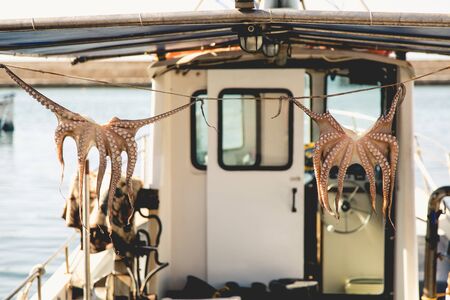 Drying octopus on fisherman boat in Greece Creteの写真素材