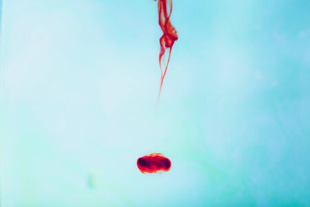Red ink in water, artistic shot, abstract backgroundの写真素材