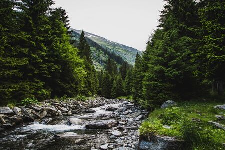 Landscape of Carpathians in Romania, summer travel Europe conceptの写真素材