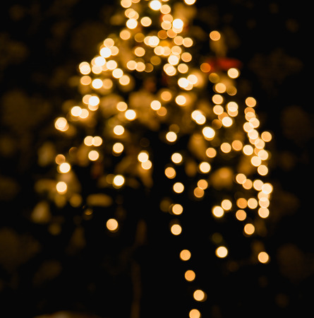 Ambient scene with Christmas tree on dark backgroundの写真素材