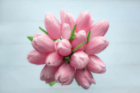 Beautiful bouquet of pink tulips on white wooden background.