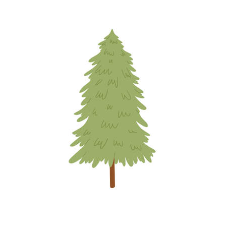 Pine tree. Vector cartoon illustration isolated on white background.のイラスト素材