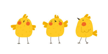 Set of cute yellow chickens. Newborn little funny chicks. Elements for Easter designs. Cartoon vector illustration.のイラスト素材