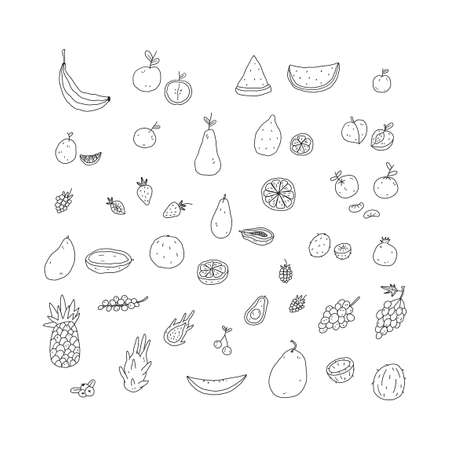 Collection of fruits and berries. Papaya, dragon fruit, watermelon, banana, avocado, cherry Hand drawn line vector illustration.のイラスト素材