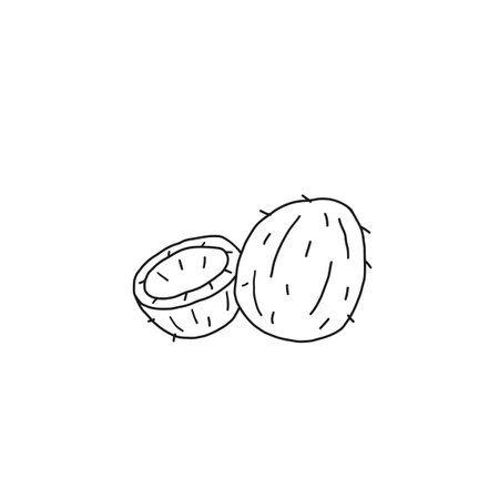 Coconut outline icon. Fruit, healthy nutrition, organic food. Hand drawn line vector illustration.のイラスト素材