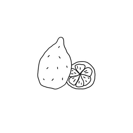 Lemon outline icon. Fruit, citrus, healthy nutrition, organic food. Hand drawn line vector illustration.のイラスト素材