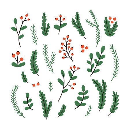 Hand drawn winter branches and leaves. Vector elements.のイラスト素材