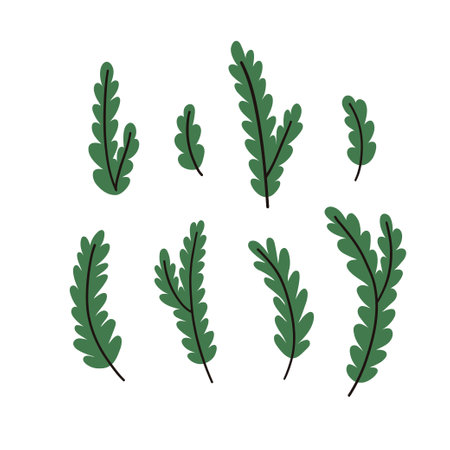 Hand drawn winter branches and leaves. Vector elements.のイラスト素材