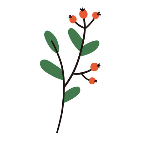 Winter branch with leaves and berries. vector elementsのイラスト素材