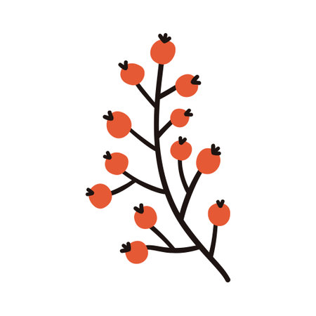Winter branch with red berries. vector elementsのイラスト素材