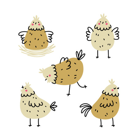 Cute hand drawn chicken set. Simple vector illustration in doodle style.のイラスト素材