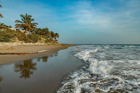 Tropical coastline landscape with palm trees and ocean waves at sunrise on Cabarete beach, Dominican Republicの写真素材