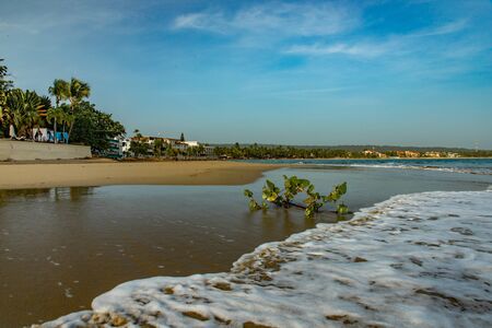 Tropical coastline landscape with palm trees and ocean waves at sunrise on Cabarete beach, Dominican...