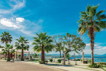Fenix palm trees, ocean and mountain view, waterfront square, Alicia beach, Sosua, Puerto Plata, Dominican Republicの写真素材