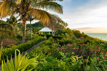 A beautiful tropical garden with a path to a pavilion, palm trees, ocean view, copy space, Samana, Dominican Republicの写真素材