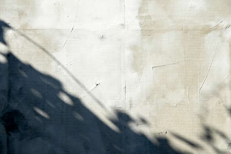 Leaves shadow with harsh light on an old cracked, plastered wall. Hard shadows on a white...