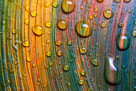 Colorful multicolored paints are covered with water drops. Multicolor abstraction. Fantastic hypnotic surface. Abstract pattern close-up, movement of liquid paint texture with water drops. Selective focus.の写真素材