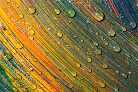 Colorful multicolored paints are covered with water drops. Multicolor abstraction. Fantastic hypnotic surface. Abstract pattern close-up, movement of liquid paint texture with water drops. Selective focus.の写真素材