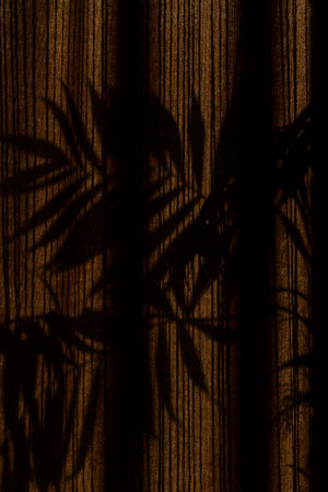 Palm tree shadows on drapes during golden hoursの写真素材