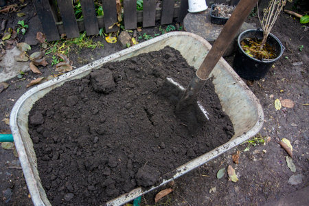 The concept of gardening, gardening summer or autumn work in the garden and vegetable garden. Garden...