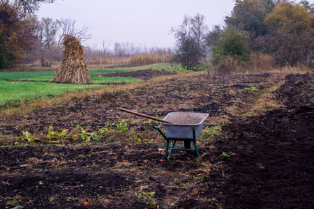 The concept of gardening, gardening summer or autumn work in the garden and vegetable garden. Garden wheelbarrow with soil close-up.の写真素材