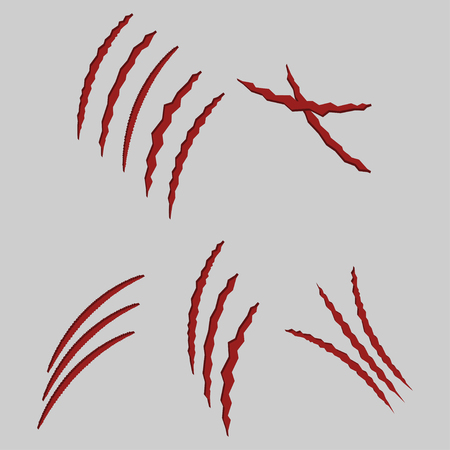 animal claws illustrated cat scratches on grey background set - vectorのイラスト素材