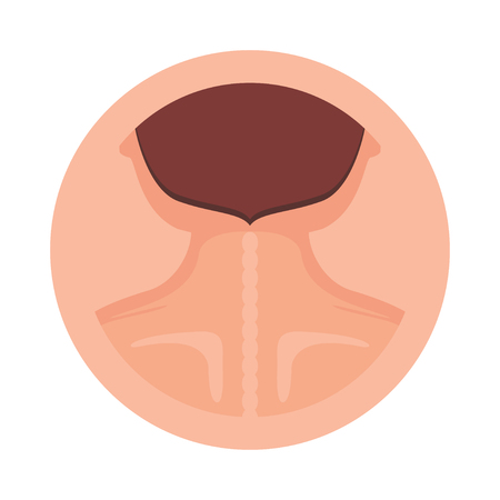 Human neck and back icon design vectorのイラスト素材