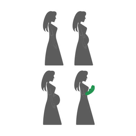 Pregnancy periods growth women belly icon vector illustration design isolatedのイラスト素材